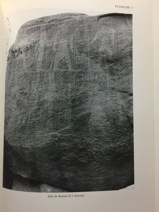 Les Monuments du roi Merenptah[newline]M3893b-13.jpg