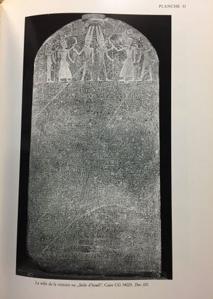 Les Monuments du roi Merenptah[newline]M3893b-15.jpg