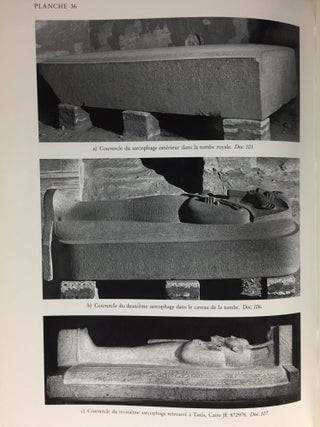 Les Monuments du roi Merenptah[newline]M3893b-16.jpg