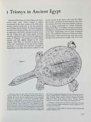 Ancient Egyptian Representations of Turtles[newline]M3901a-04.jpeg