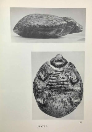 Item #M3901d Ancient Egyptian Representations of Turtles. FISCHER Henry George[newline]M3901d-00.jpeg
