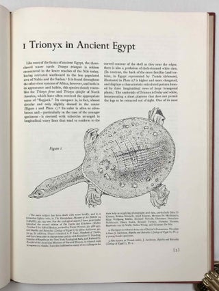 Ancient Egyptian Representations of Turtles[newline]M3901d-05.jpeg