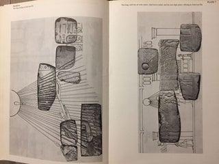 The Akhenaten temple project. Vol. 1: Initial discoveries[newline]M3932b-08.jpg