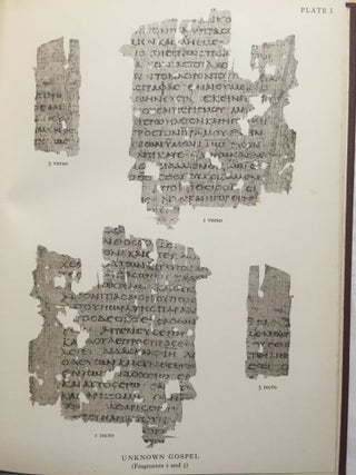 Fragments of an unknown gospel and other early Christian papyri[newline]M3936-12.jpg