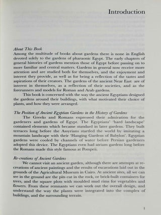 The garden in Ancient Egypt[newline]M3946c-03.jpeg