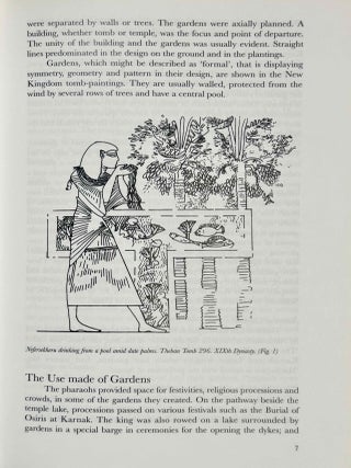 The garden in Ancient Egypt[newline]M3946c-05.jpeg