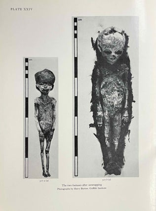 Item #M3948f The human remains from the tomb of Tutankhamun. LEEK Frank Filce[newline]M3948f-00.jpeg