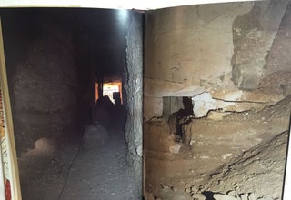 The rape of Tutankhamun
