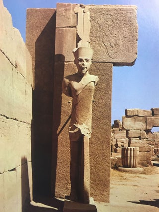 Tutankhamun's Egypt[newline]M3957-02.jpg