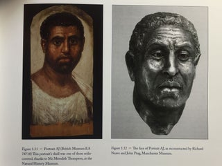 Living images. Egyptian funerary portraits in the Petrie Museum.[newline]M3974-06.jpg