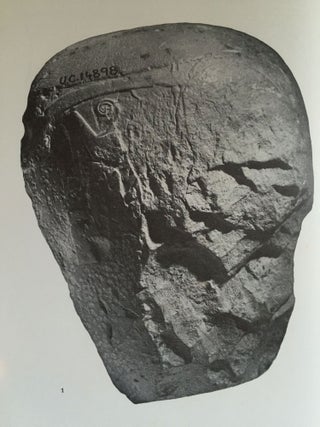 Ancient Hierakonpolis + supplement (complete set)