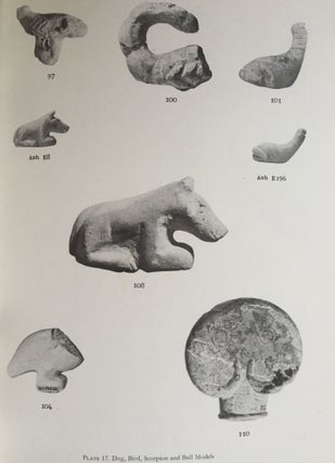 Ancient Hierakonpolis + supplement (complete set)