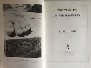 The temples of Per Ramesses[newline]M3982-01.jpg