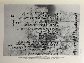 Orientalische Handschriften in Deutschland. Band I: Ägyptische Handschriften, Teil I & II[newline]M3988-06.jpg