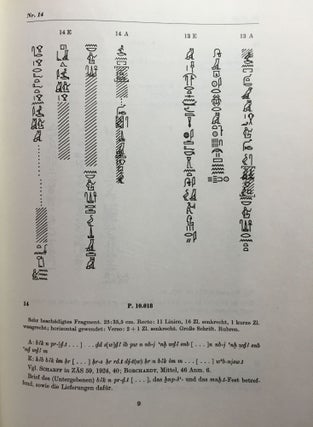 Orientalische Handschriften in Deutschland. Band I: Ägyptische Handschriften, Teil I & II