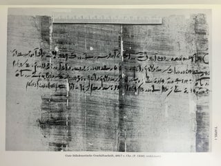 Orientalische Handschriften in Deutschland. Band I: Ägyptische Handschriften, Teil I & II[newline]M3988-12.jpg