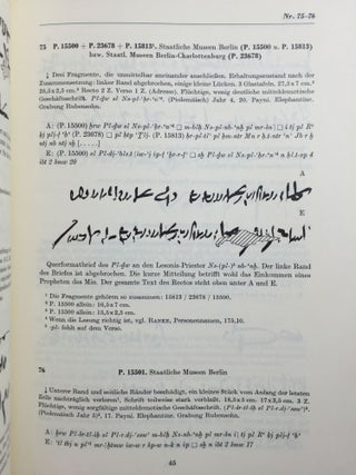 Orientalische Handschriften in Deutschland. Band I: Ägyptische Handschriften, Teil I & II[newline]M3988-13.jpg