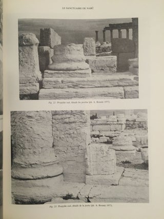 Le sanctuaire de Nabu à Palmyre. Vol. I: Texte. Vol. II: Planches (complete set)[newline]M4022a-01.jpg