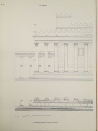 Le sanctuaire de Nabu à Palmyre. Vol. I: Texte. Vol. II: Planches (complete set)[newline]M4022a-10.jpg