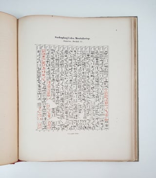 Aelteste Texte des Todtenbuchs nach Sarkophagen des Altaegyptischen Reichs im Berliner Museum[newline]M4048b-02.jpg
