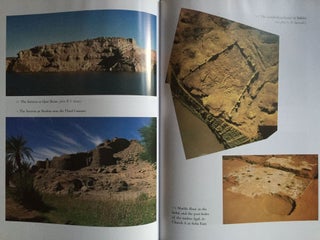 The Medieval Kingdoms of Nubia: Pagans, Christians and Muslims in the Middle Nile[newline]M4096-06.jpg