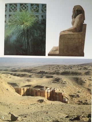 Pharaohs and Pyramids: a Guide Through Old Kingdom Egypt[newline]M4097-06.jpg