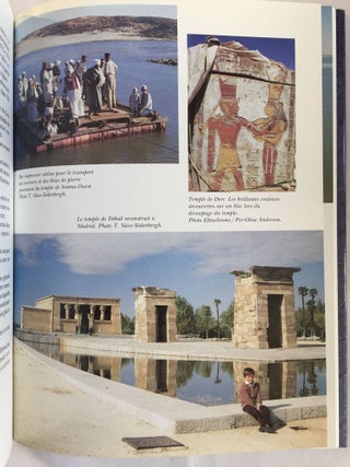 Victoire en Nubie. La campagne internationale de sauvegarde d'Abou Simbel, de Philae et d'autres trésors culturels.[newline]M4114-04.jpg