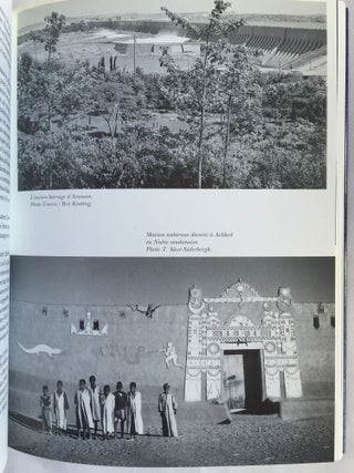 Victoire en Nubie. La campagne internationale de sauvegarde d'Abou Simbel, de Philae et d'autres trésors culturels.[newline]M4114-07.jpg