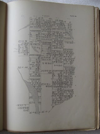 Records from Ur and Larsa dated in the Larsa dynasty[newline]M4142-02.jpg