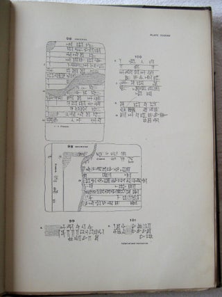 Records from Ur and Larsa dated in the Larsa dynasty[newline]M4142-03.jpg
