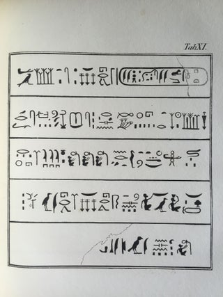 Rudimenta Hieroglyphices. Accedunt explicationes speciminum hieroglyphicorum glossarium atque alphabeta, cum XXXVI tabulis lithographicis.[newline]M4175-19.jpg