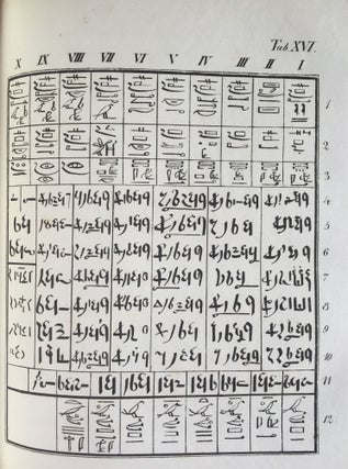 Rudimenta Hieroglyphices. Accedunt explicationes speciminum hieroglyphicorum glossarium atque alphabeta, cum XXXVI tabulis lithographicis.[newline]M4175-24.jpg