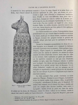 La faune momifiée de l'Ancienne Egypte. Series 1-5 (complete)[newline]M4246a-12.jpg