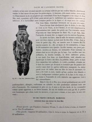 La faune momifiée de l'Ancienne Egypte. Series 1-5 (complete)[newline]M4246a-33.jpg
