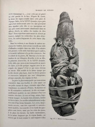 La faune momifiée de l'Ancienne Egypte. Series 1-5 (complete)[newline]M4246a-35.jpg