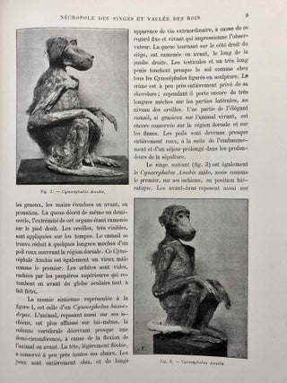 La faune momifiée de l'Ancienne Egypte. Series 1-5 (complete)[newline]M4246a-43.jpg