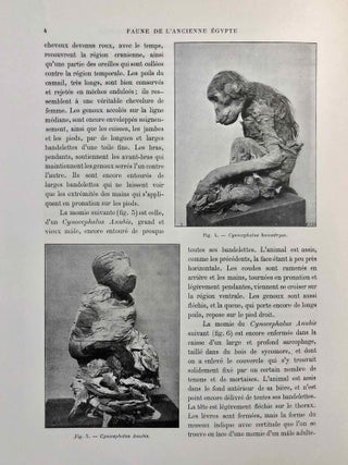 La faune momifiée de l'Ancienne Egypte. Series 1-5 (complete)[newline]M4246a-44.jpg
