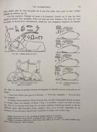 La faune momifiée de l'Ancienne Egypte. Series 1-5 (complete)[newline]M4246a-52.jpg