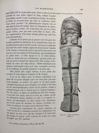 La faune momifiée de l'Ancienne Egypte. Series 1-5 (complete)[newline]M4246a-53.jpg