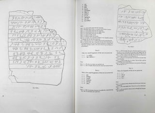 The Meroitic Funerary Inscriptions from Arminna West[newline]M4268-08.jpeg