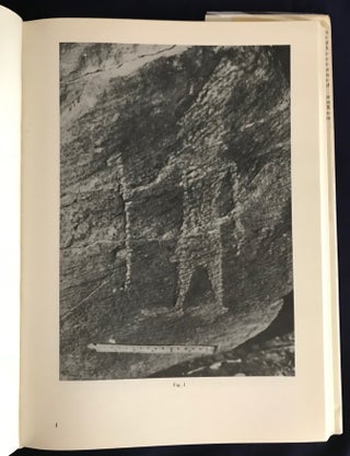 The rock inscriptions of Lower Nubia[newline]M4285-08.jpg