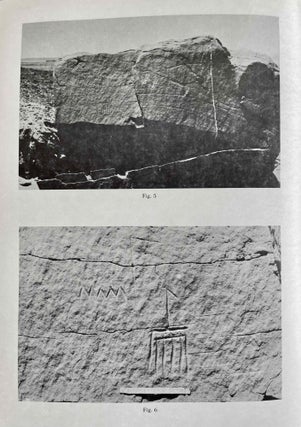 The rock inscriptions of Lower Nubia[newline]M4285c-20.jpeg