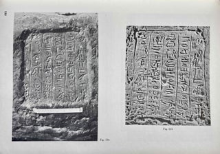 The rock inscriptions of Lower Nubia[newline]M4285c-22.jpeg