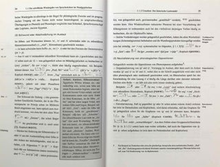Einführung in die Grammatik des Neuägyptischen