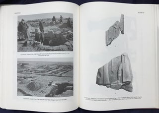 Old Babylonian Public Buildings in the Diyala Region. Part One: Excavations at Ishchali. Part Two: Khafajah Mounds B, C, and D