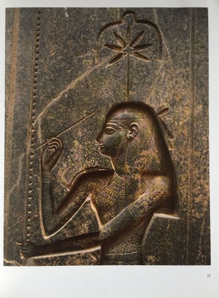 Hieroglyphs & The afterlife in Ancient Egypt[newline]M4362-03.jpg