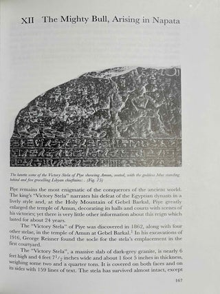 The black pharaohs. Egypt's Nubian rulers.[newline]M4365a-07.jpeg
