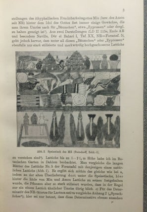 Die Gartenpflanzen im Alten Ägypten. Ägyptologische Studien. Band I & II (complete set)[newline]M4368-05.jpg