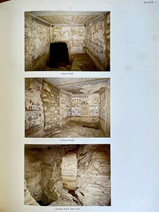 A Theban private Tomb. Tomb No. 295