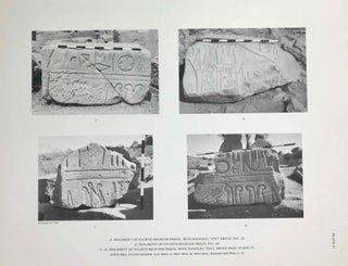 Reliefs and inscriptions at Karnak. The Epigraphic Survey. Volumes I, II, III & IV (complete set)[newline]M4390-37.jpeg